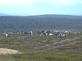 Nordkap 2009 140